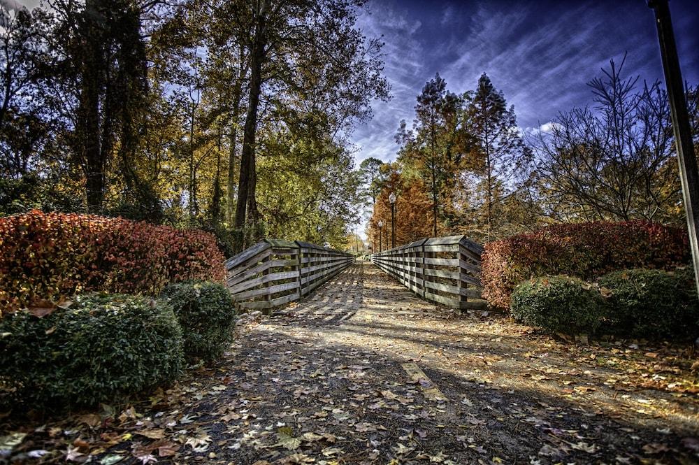 Hotel Wingate By Wyndham Tuscaloosa Zewnętrze zdjęcie